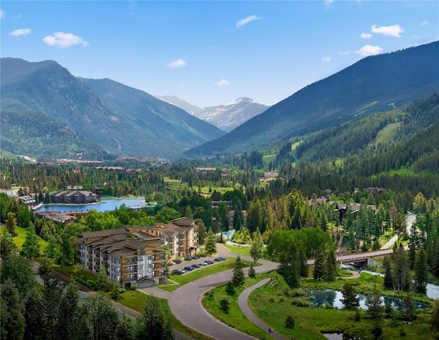 view of mountain feature with a wooded view and a water view