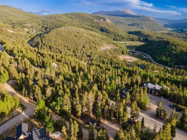 1981 Boreas Pass Rd, Breckenridge, CO 80424 - photo 39