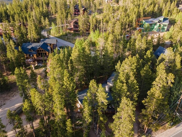 1981 Boreas Pass Rd, Breckenridge, CO 80424 - photo 41