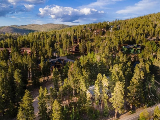 1981 Boreas Pass Rd, Breckenridge, CO 80424 - photo 42