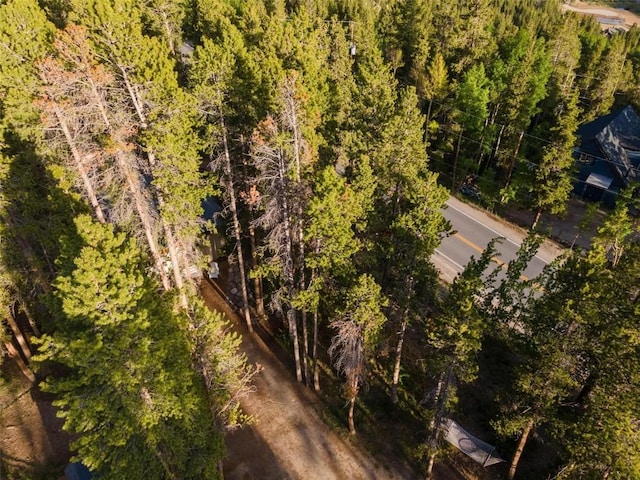 1981 Boreas Pass Rd, Breckenridge, CO 80424 - photo 40