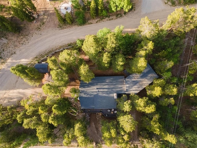 1981 Boreas Pass Rd, Breckenridge, CO 80424 - photo 38