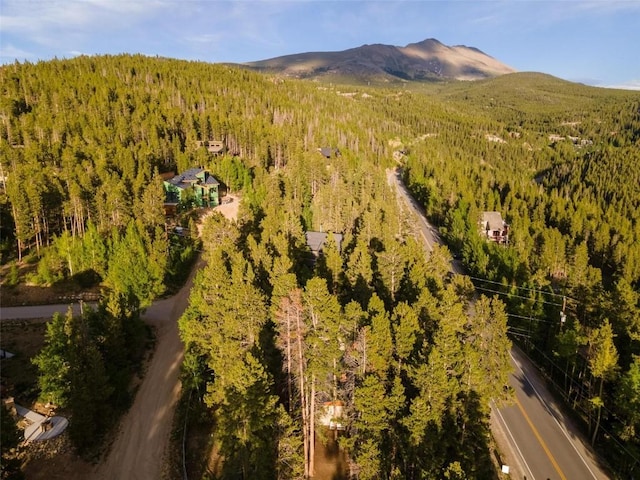 1981 Boreas Pass Rd, Breckenridge, CO 80424 - photo 37