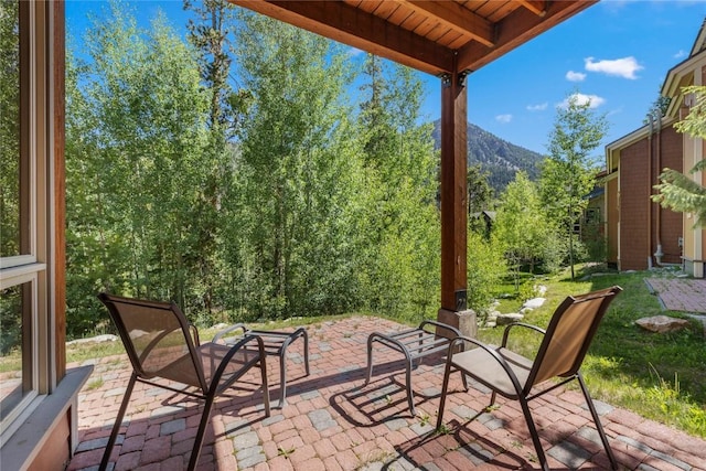 14 Arabella Dr Unit 6516, Dillon, CO 80435 - photo 26