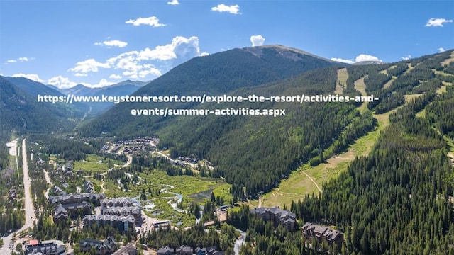 14 Arabella Dr Unit 6516, Dillon, CO 80435 - photo 40