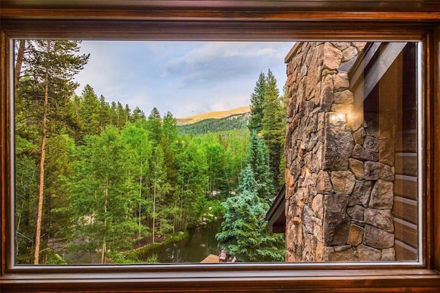 103 Blue Flag Dr, Breckenridge, CO 80424 - photo 23