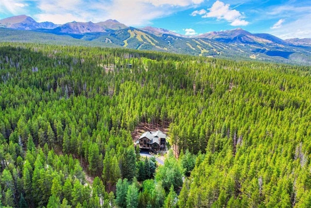 103 Blue Flag Dr, Breckenridge, CO 80424 - photo 48