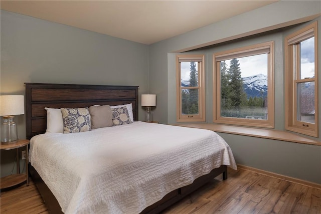 1120 Baldy Rd, Breckenridge, CO 80424 - bedroom featuring wood finished floors and multiple windows