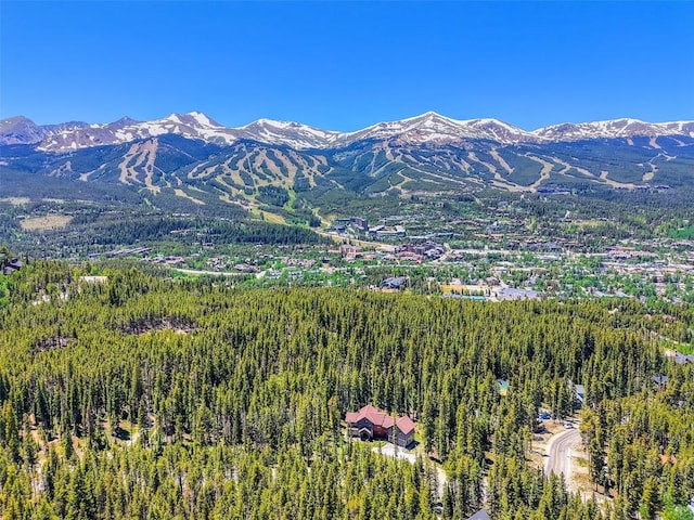 366 Moonstone Rd, Breckenridge, CO 80424 - view of mountain backdrop featuring a heavily wooded area