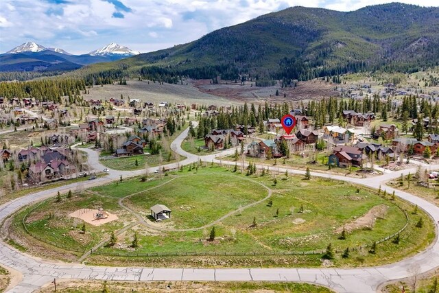 56 Canyon View Ct, Dillon, CO 80435 - photo 47