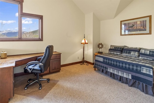 56 Canyon View Ct, Dillon, CO 80435 - photo 25