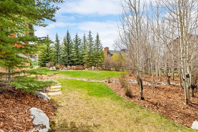56 Canyon View Ct, Dillon, CO 80435 - photo 37