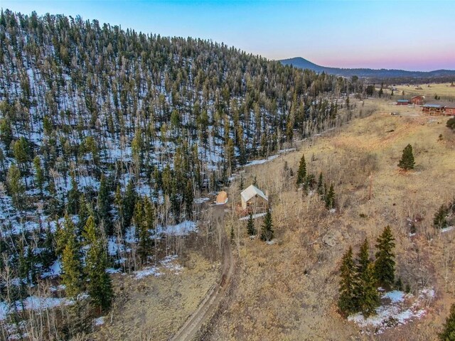 144 Outlaw Ct, Jefferson, CO 80456 - photo 35