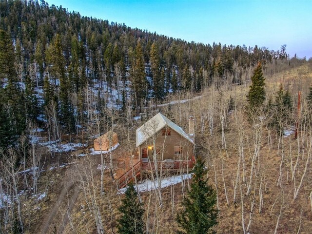 144 Outlaw Ct, Jefferson, CO 80456 - photo 33