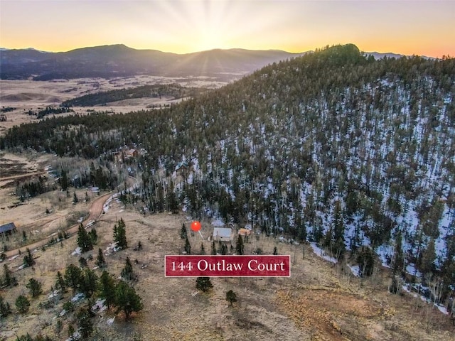 144 Outlaw Ct, Jefferson, CO 80456 - photo 34