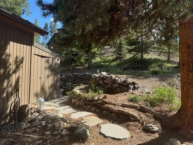 24 Magnum Bonum Dr, Breckenridge, CO 80424 - view of yard