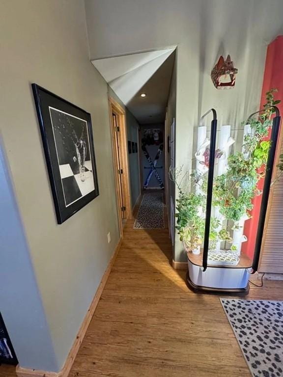 24 Magnum Bonum Dr, Breckenridge, CO 80424 - corridor featuring baseboards and wood finished floors
