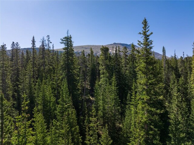HOMESTEAD21 Cumberland Dr, Breckenridge, CO 80424