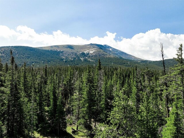 HOMESTEAD21 Cumberland Dr, Breckenridge, CO 80424