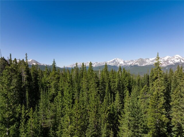 HOMESTEAD21 Cumberland Dr, Breckenridge, CO 80424