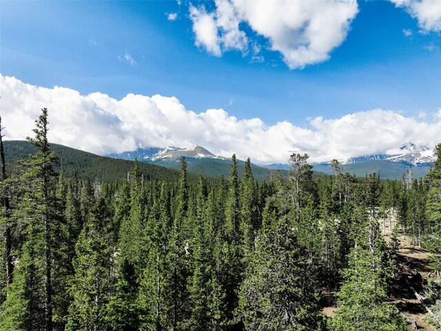 HOMESTEAD21 Cumberland Dr, Breckenridge, CO 80424