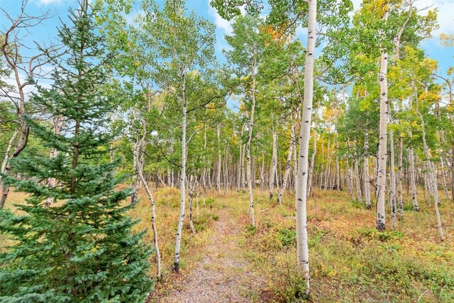 465 Mount Guyot Cir, Jefferson, CO 80456 - exterior space
