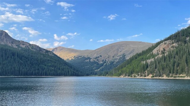 465 Mount Guyot Cir, Jefferson, CO 80456 - view of water feature featuring a wooded view and a mountain view