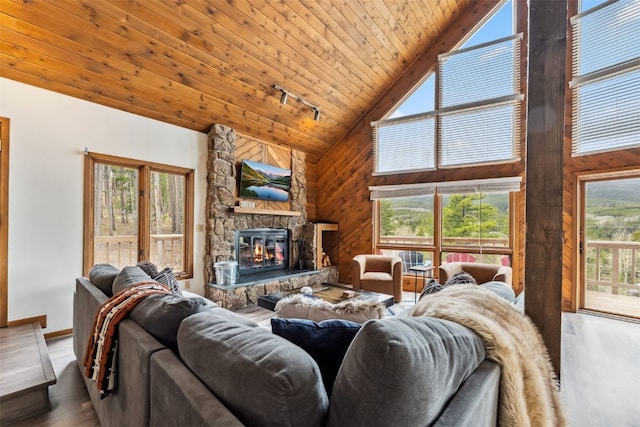 1009 American Way, Breckenridge, CO 80424 - living room with high vaulted ceiling, rail lighting, wooden ceiling, wooden walls, and a fireplace