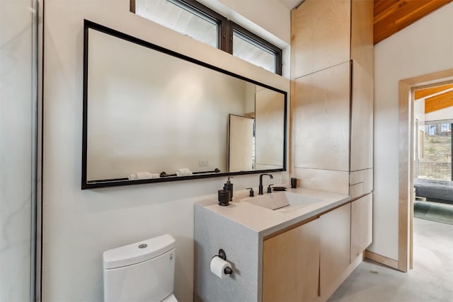 1009 American Way, Breckenridge, CO 80424 - bathroom with concrete flooring, vanity, and toilet