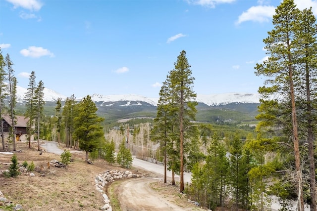 1009 American Way, Breckenridge, CO 80424 - view of mountain background