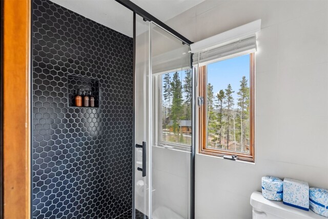 1009 American Way, Breckenridge, CO 80424 - bathroom with a stall shower and toilet