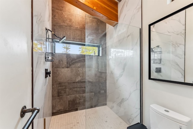 1009 American Way, Breckenridge, CO 80424 - bathroom featuring a marble finish shower and toilet