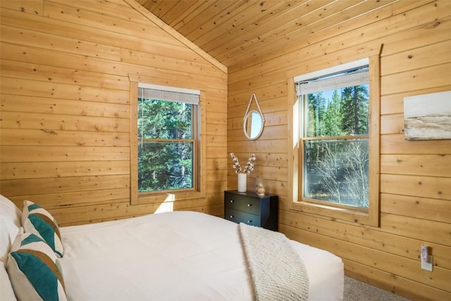 194 Gold Pan Ln, Fairplay, CO 80440 - photo 33