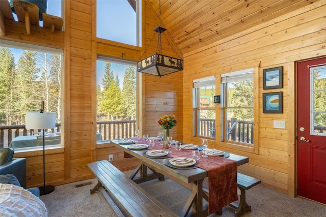 194 Gold Pan Ln, Fairplay, CO 80440 - photo 15