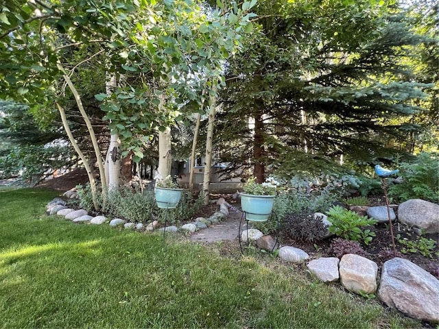 928 Lakepoint Cir Unit B, Frisco, CO 80443 - photo 41