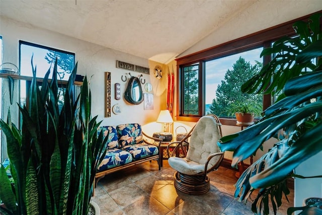 1023 Raven Way, Como, CO 80432 - living area featuring lofted ceiling and stone finish flooring