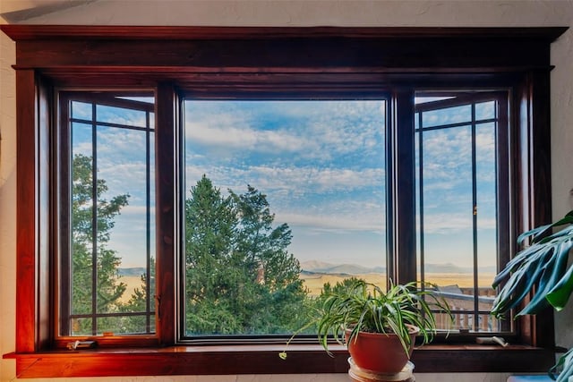 1023 Raven Way, Como, CO 80432 - view of room details