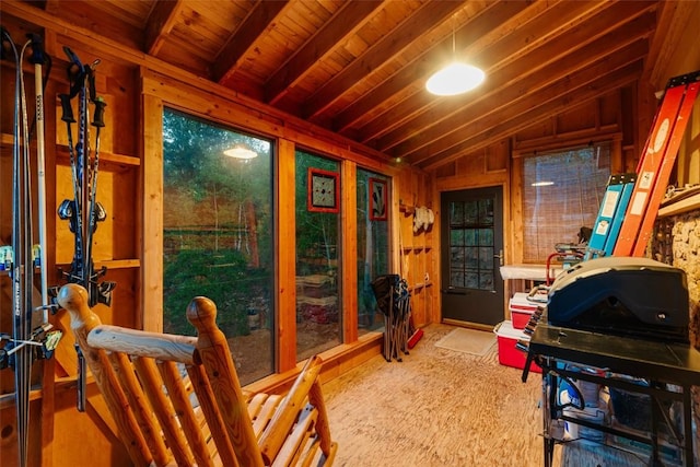 1023 Raven Way, Como, CO 80432 - view of sunroom / solarium