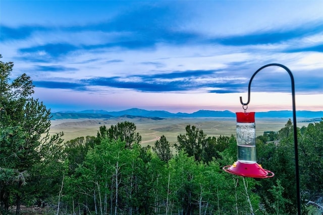 1023 Raven Way, Como, CO 80432 - mountain view