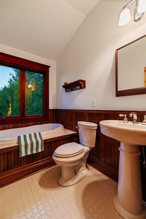 1023 Raven Way, Como, CO 80432 - full bathroom with toilet, wainscoting, a bathing tub, lofted ceiling, and wood walls