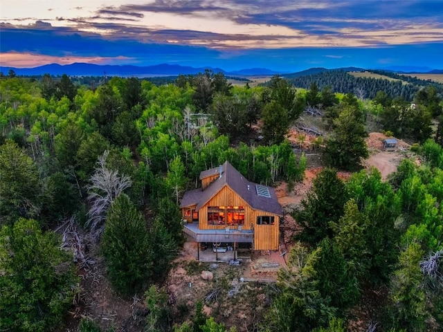 1023 Raven Way, Como, CO 80432 - birds eye view of property featuring a forest view and a mountain view