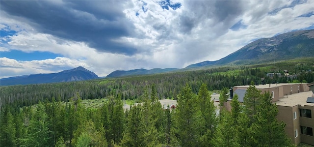 9490 Ryan Gulch Rd Unit 94202, Silverthorne, CO 80498 - photo 1