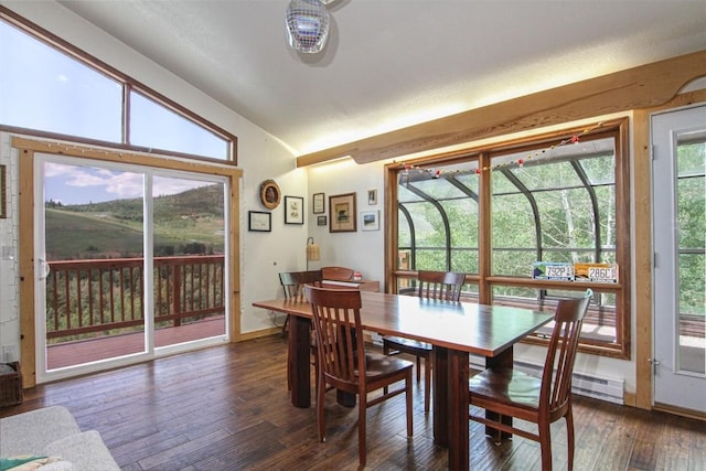 338 Deer Path Rd, Dillon, CO 80435 - dining space featuring lofted ceiling and hardwood / wood-style flooring