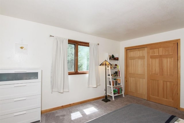 338 Deer Path Rd, Dillon, CO 80435 - carpeted bedroom with baseboards and a closet