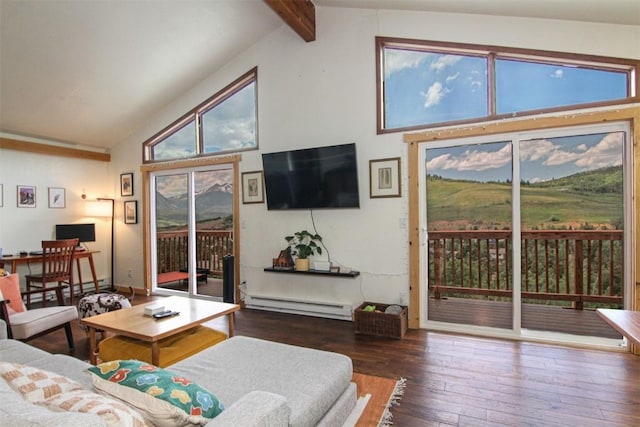 338 Deer Path Rd, Dillon, CO 80435 - living room with a baseboard heating unit, wood-type flooring, and a baseboard radiator
