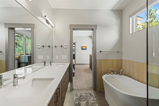 full bath featuring a wealth of natural light and a sink
