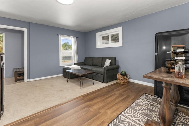 200 N Grant Ave, Oak Creek, CO 80467 - living area featuring baseboards and wood finished floors