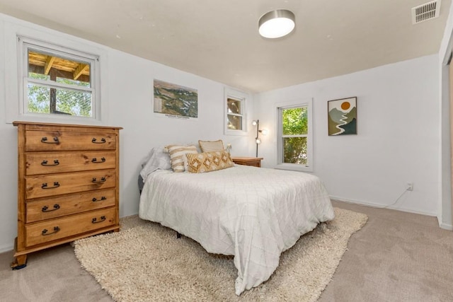 200 N Grant Ave, Oak Creek, CO 80467 - bedroom with light carpet and baseboards