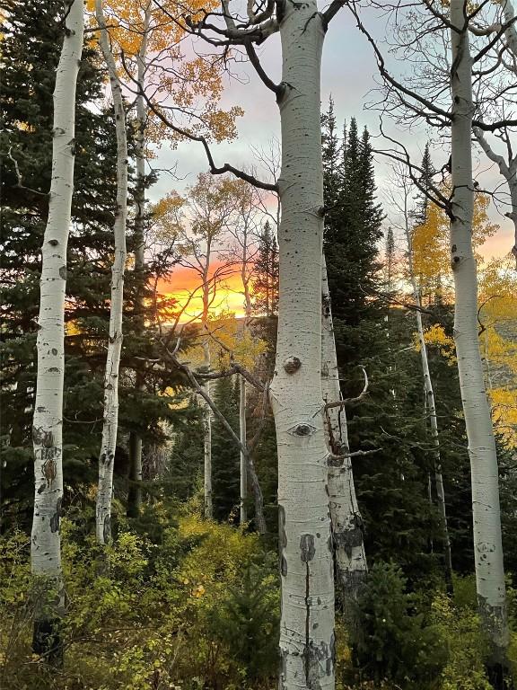 57640 County Road 129, Clark, CO 80428 - view of nature at dusk