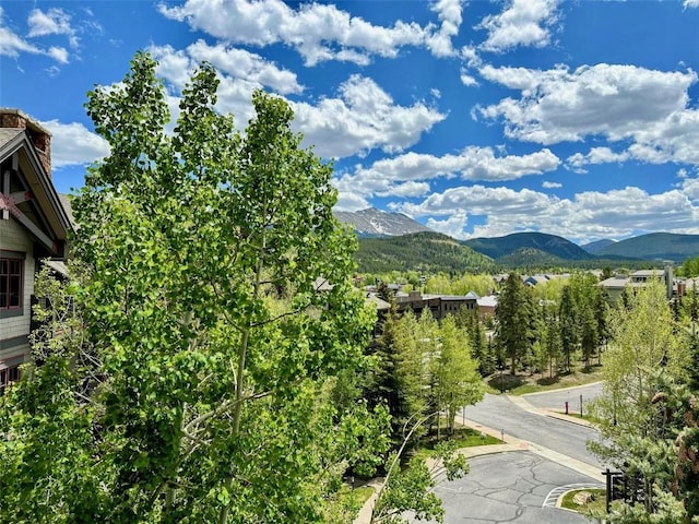 50 Mountain Thunder Dr Unit 1402, Breckenridge, CO 80424 - mountain view